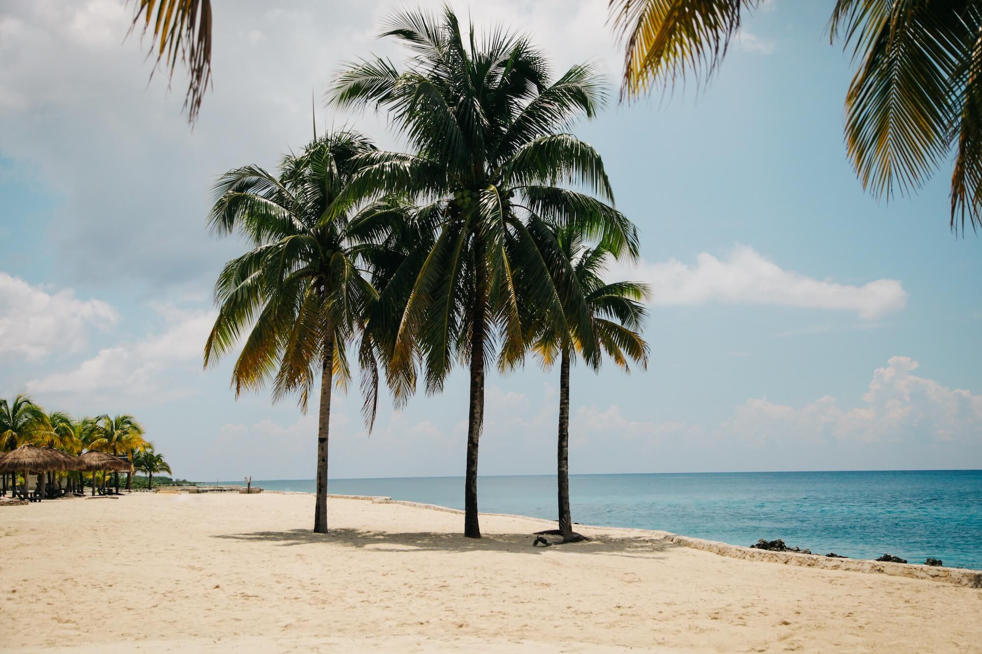 clem-onojeghuo-111588-unsplash Post with Slideshow